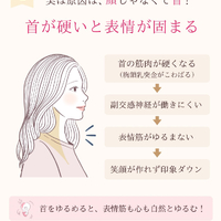 画像508
